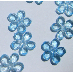 Myosotis - fleurs 1 cm