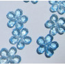 Myosotis - fleurs 1 cm