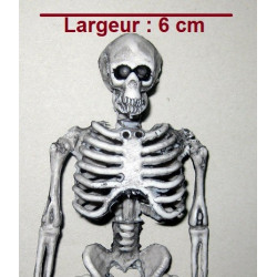 Squelette 1er prix 14 cm