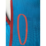 Baudrier (cordon) de maitre REAA DECLASSE - 10 %