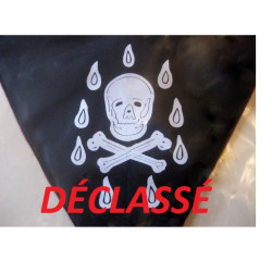 Sautoir TRESORIER REAA déclassé