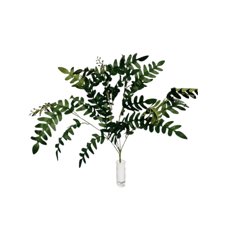 Grande branche d'acacia 55 cm